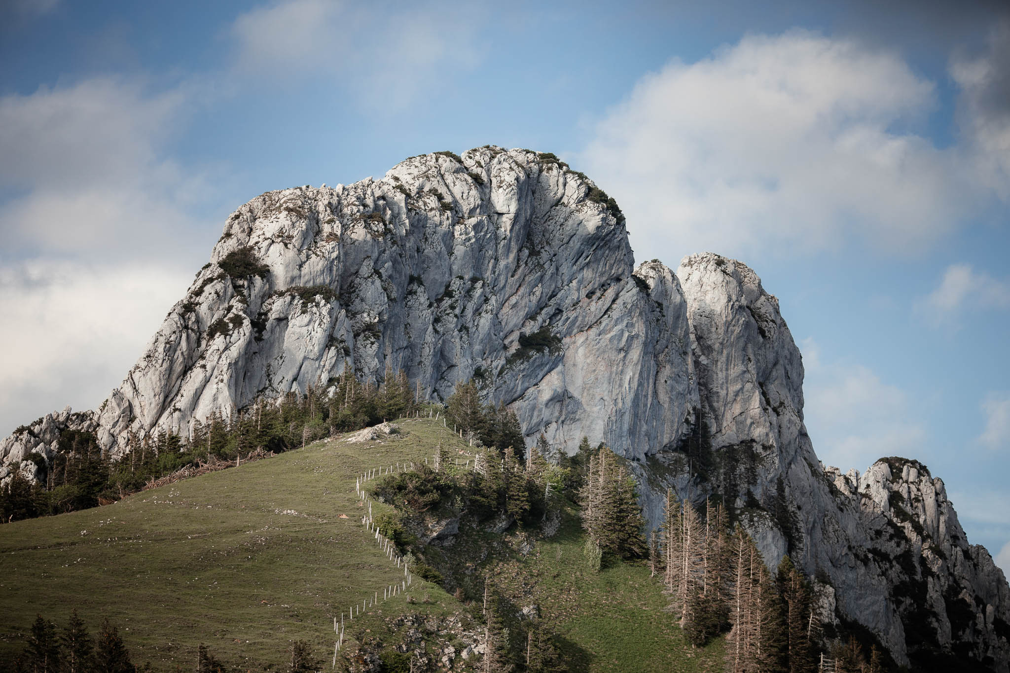 Hochzeitsfotograf Alpen, Chiemgau: freie Trauung von Dennis & Dirk 63