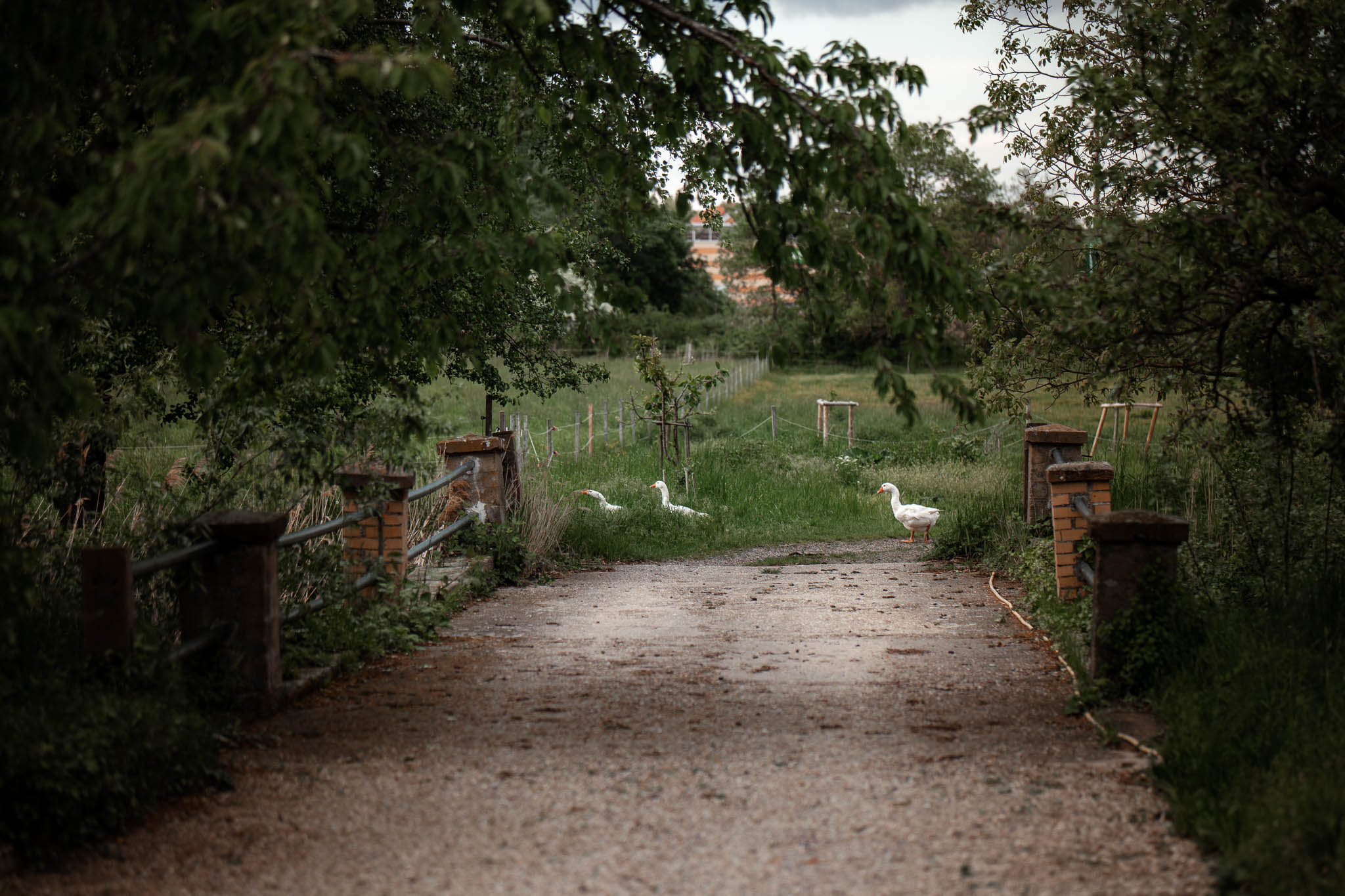 Als Hochzeitsfotograf im Hofgut Ruppertsberg: Hochzeit von Lisa und Max mit freier Trauung 75