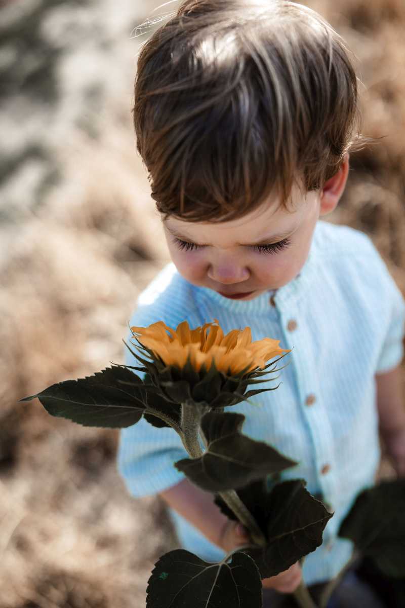 Familienfotos Rheinland-Pfalz: Shooting im Sommer 70